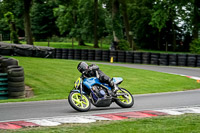 cadwell-no-limits-trackday;cadwell-park;cadwell-park-photographs;cadwell-trackday-photographs;enduro-digital-images;event-digital-images;eventdigitalimages;no-limits-trackdays;peter-wileman-photography;racing-digital-images;trackday-digital-images;trackday-photos